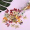 FINGOOO 100 PCS Butterfly Wooden Buttons,1 Inch Colorful 2 Holes Mixed Decorative Buttons for DIY Sewing&Wood Craft Clothes Accessories